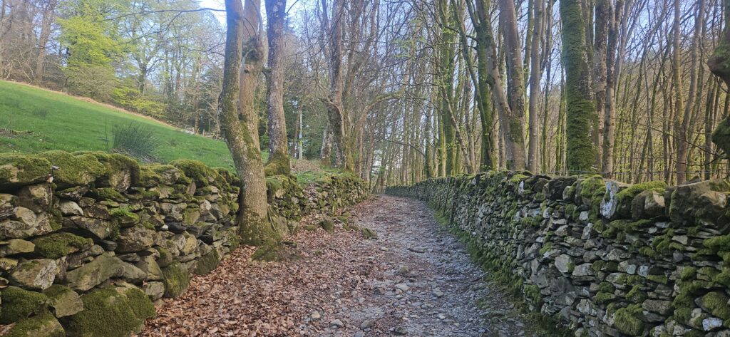 The Scenic Route to Becoming a Chartered Coaching Psychologist 2 Route to Becoming a Chartered Coaching Psychologist